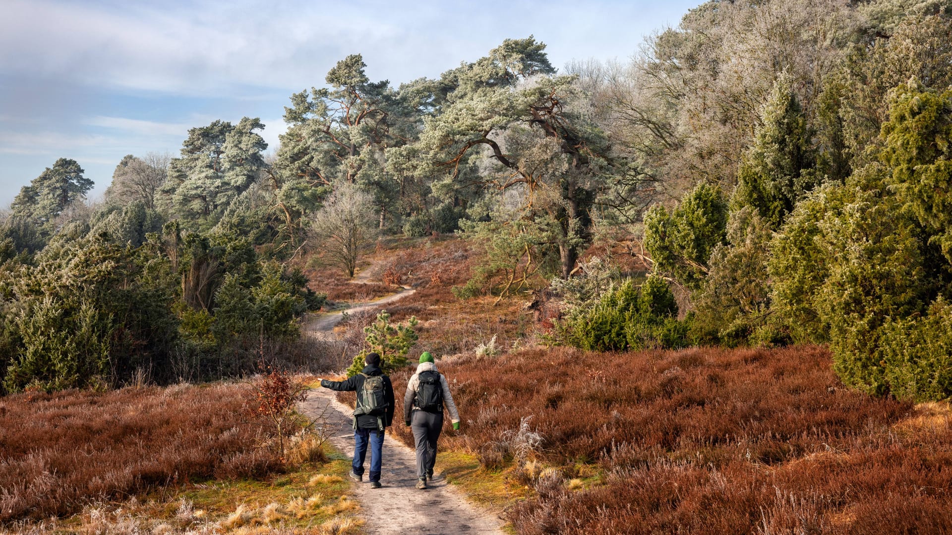 Wanderer sind unterwegs auf dem Heidschnuckenweg in der Lüneburger Heide.