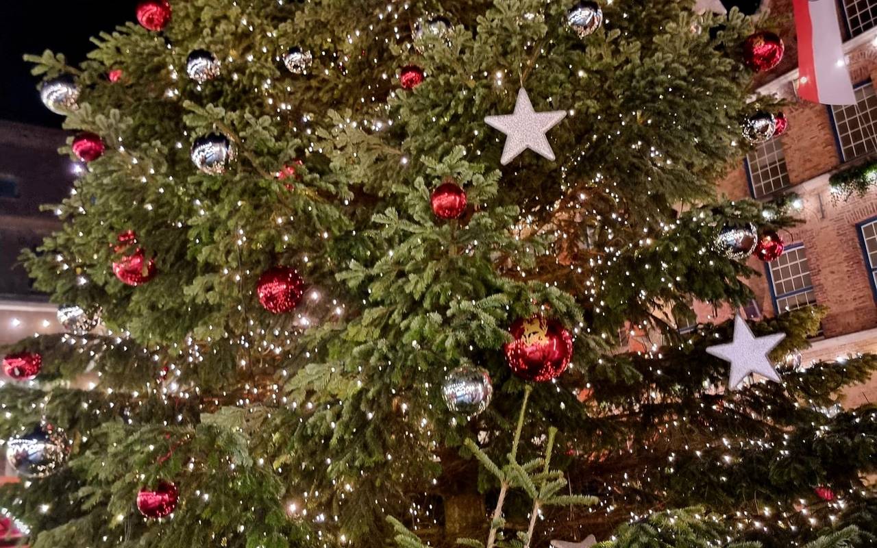 Geschmückter Weihnachtsbaum auf dem Marktplatz vor dem Rathaus in der Altstadt.