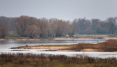 Mehr Überschwemmungsflächen an der Elbe
