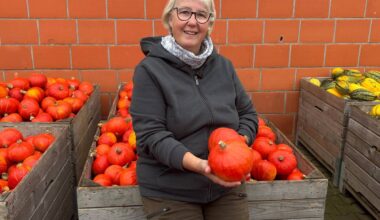 Kürbis-Paradies in Nienberge - Antenne Münster