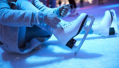 Neuköllner Eisstadion öffnet erst ab November