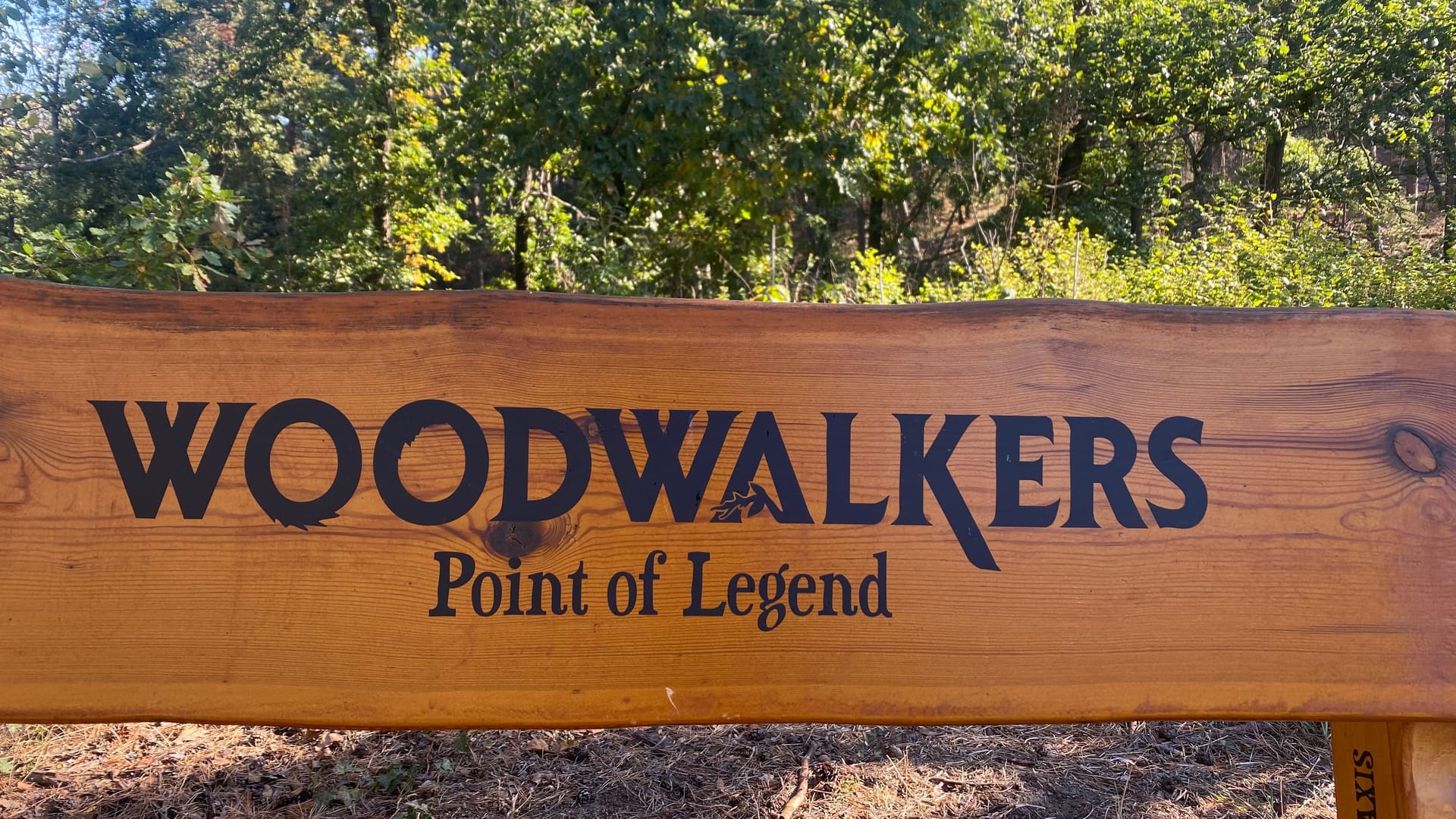 "Woodwalkers"-Bank: Sie steht auf dem Wanderweg Richtung Sandsteinhöhlen.