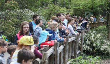 Zoo-Besucher in Dortmund macht Foto im Gehege – er handelt sofort