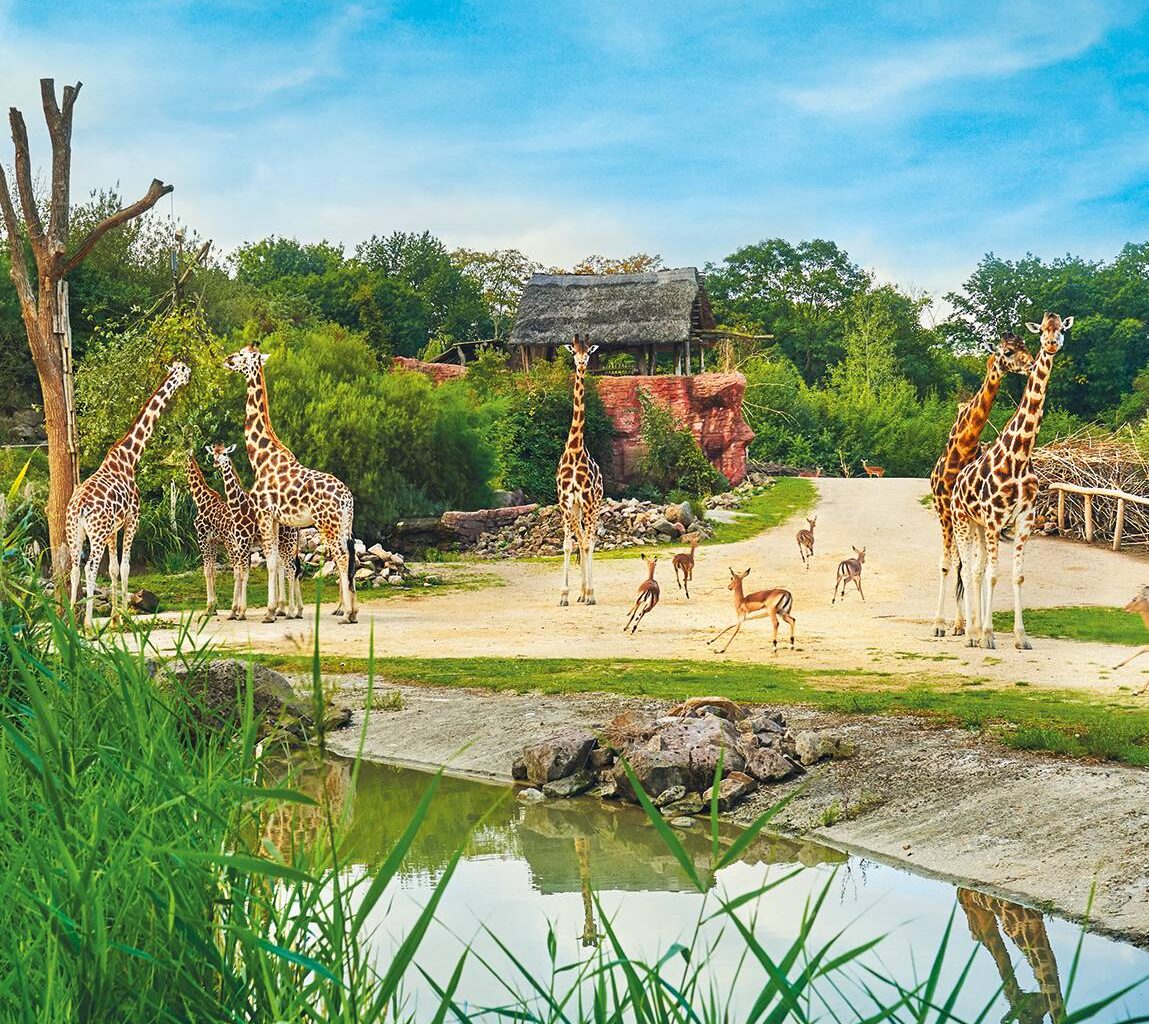ZOOM Erlebniswelt Gelsenkirchen ist Service-Champion