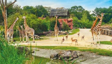 ZOOM Erlebniswelt Gelsenkirchen ist Service-Champion