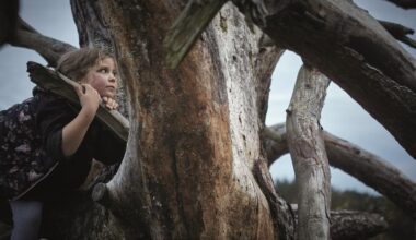 Es beginnt mit dem Staunen — kreuzer online