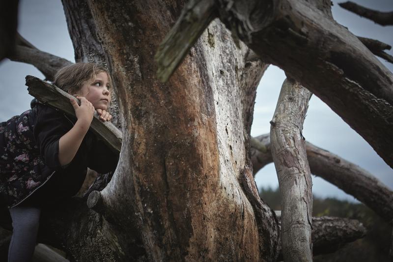 Es beginnt mit dem Staunen — kreuzer online