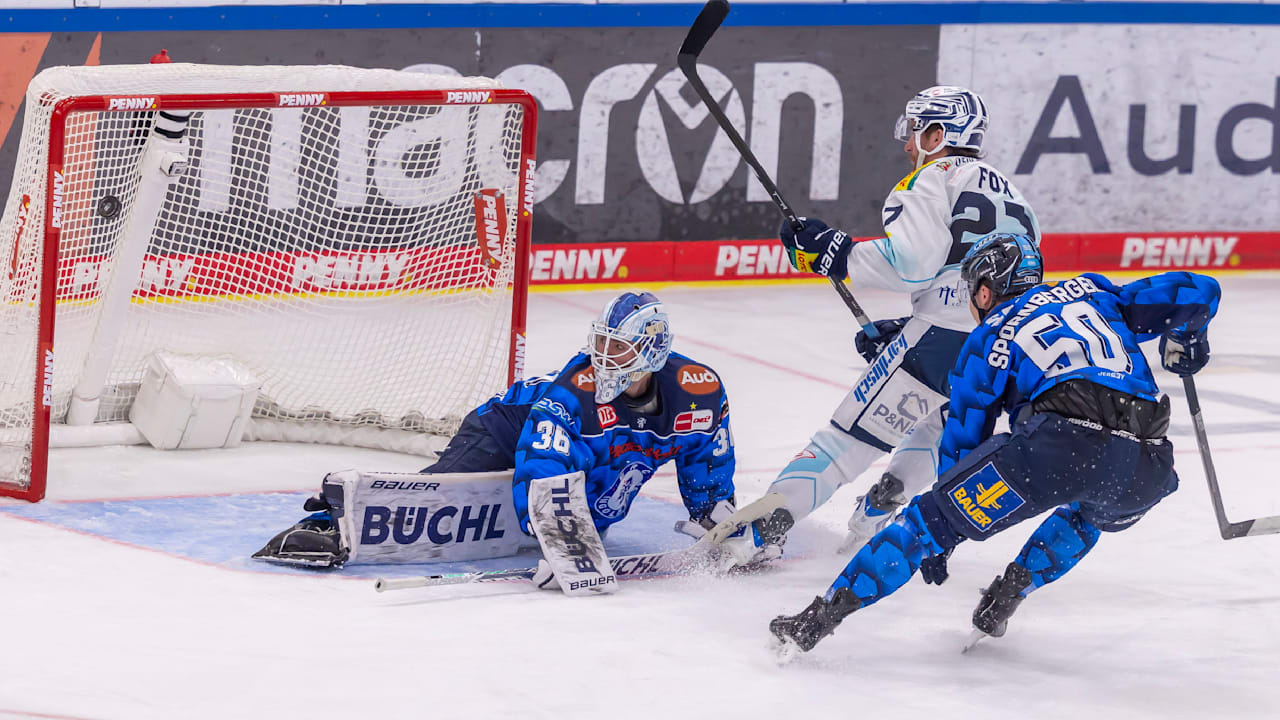 Eishockey: Rätsel um DEL-Schlusslicht Dresden | Sport