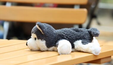 Win Stofftier liegt auf einem Tisch