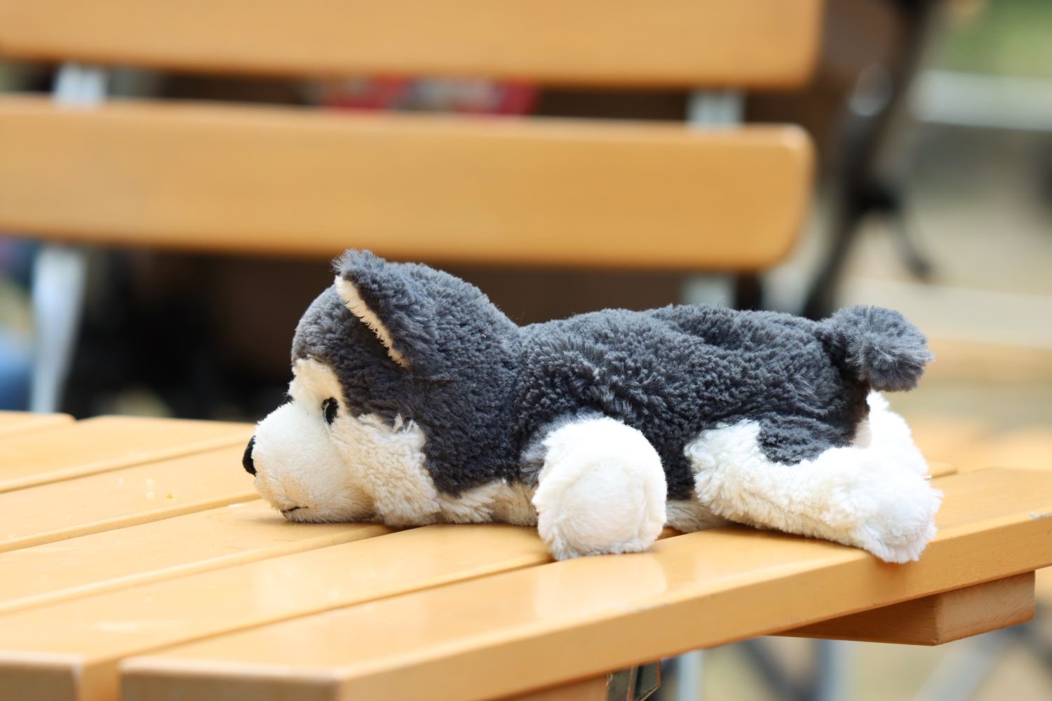 Win Stofftier liegt auf einem Tisch