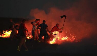 Großbritannien gefährlich unvorbereitet auf wachsende Klimarisiken: Waldbrände 2025 brechen Rekorde
