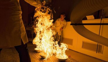 Die etwas andere Vorweihnachtszeit für Groß und Klein
