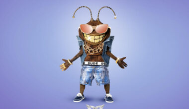 "Masked Singer" 2025 mit Auflösung: Wer raus und enttarnt ist als der Dude