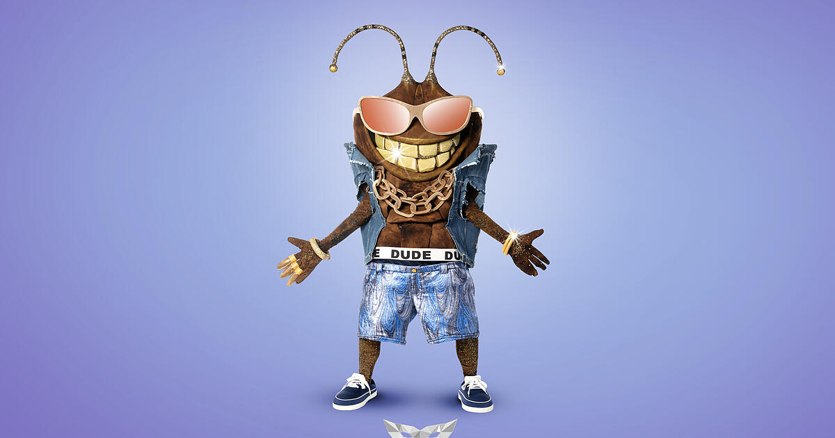 "Masked Singer" 2025 mit Auflösung: Wer raus und enttarnt ist als der Dude