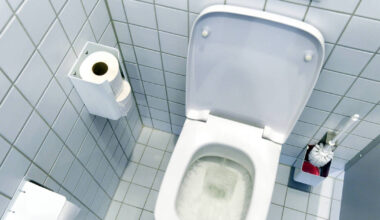 Mannheim: Einbrecher hinterlässt Haufen im Klo - Polizeiberichte aus Rhein-Neckar-Odenwald