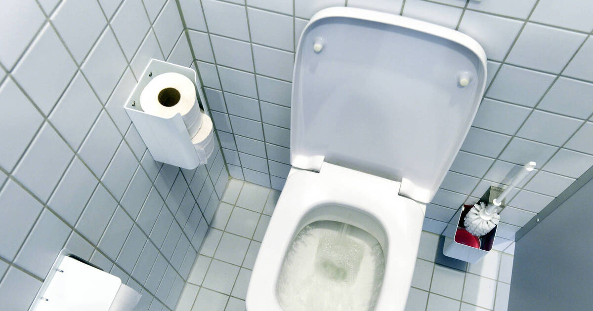 Mannheim: Einbrecher hinterlässt Haufen im Klo - Polizeiberichte aus Rhein-Neckar-Odenwald