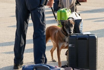 Mann droht mit Bombe und darf nicht mitfliegen - Das Gepäck des Mannes wurde nach seinen Aussagen genau unter die Lupe genommen. (Symbolbild)