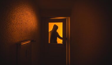 Eigenheime in Chemnitz im Fokus von Dieben