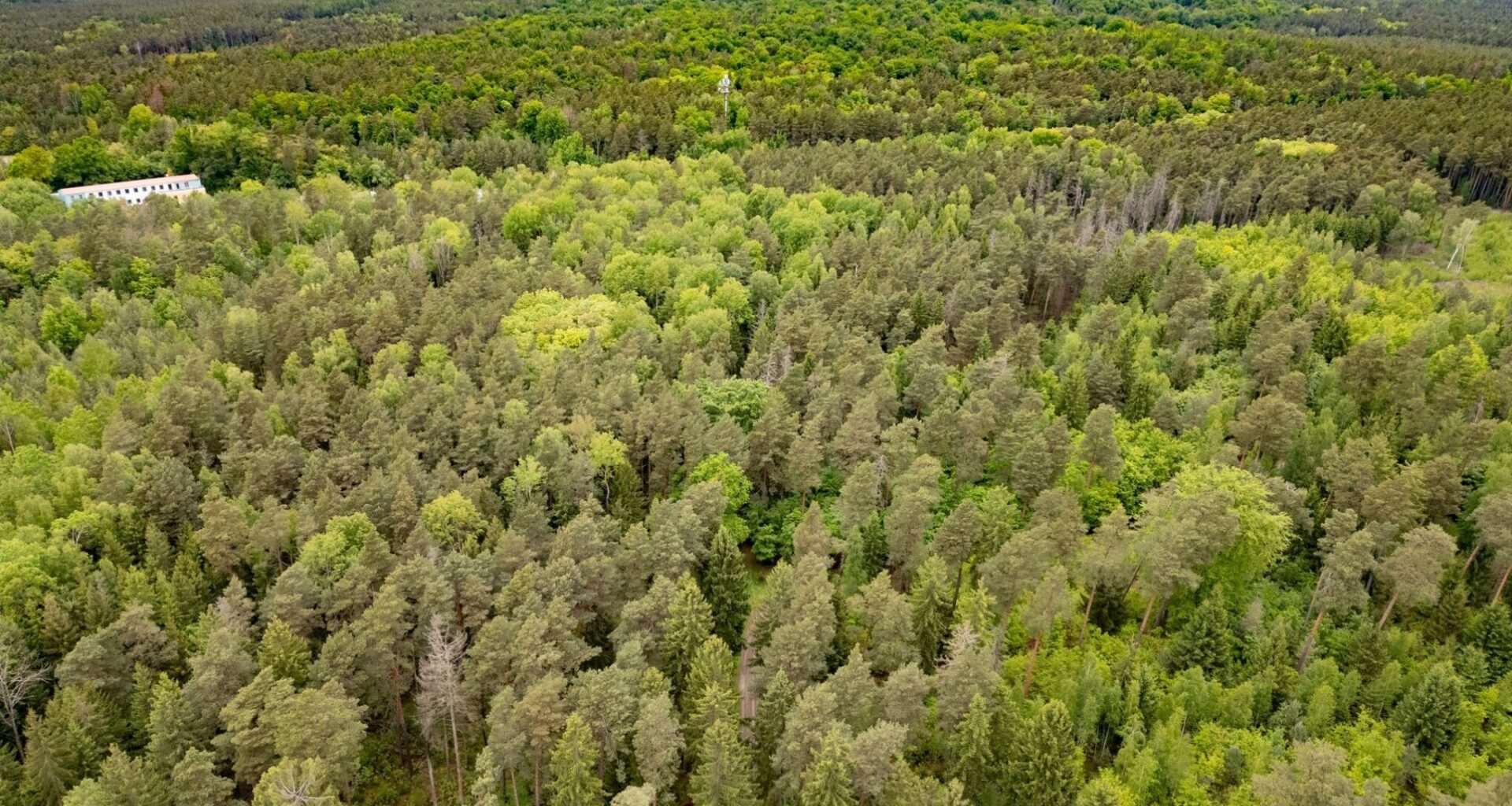 War der mutmaßliche Täter schuldfähig?