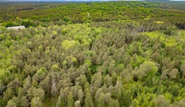 War der mutmaßliche Täter schuldfähig?