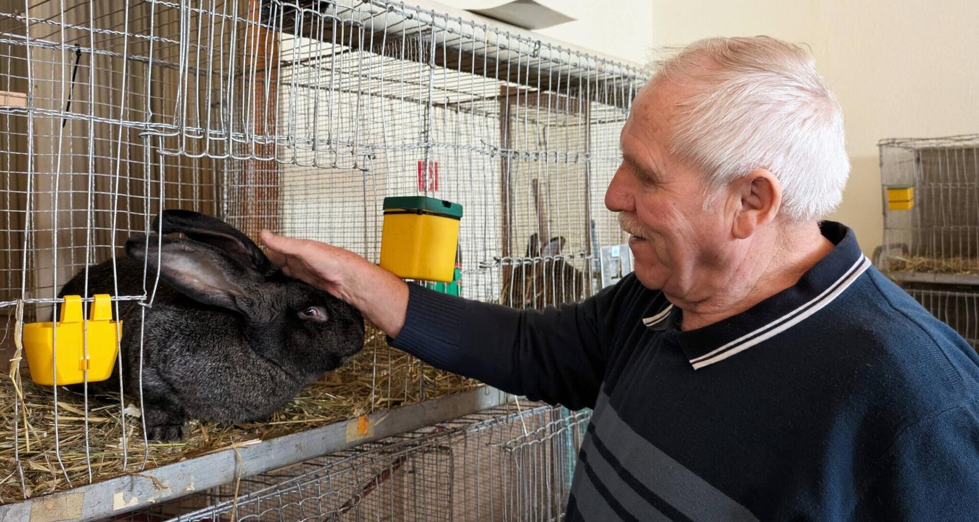 151 Tiere und ein attraktiver Hauptpreis bei Tombola!