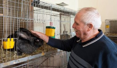 151 Tiere und ein attraktiver Hauptpreis bei Tombola!