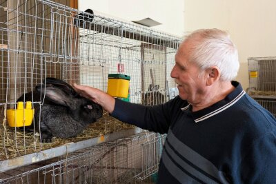Kaninchenausstellung im Erzgebirge: 151 Tiere und ein attraktiver Hauptpreis bei Tombola! - Der Grießbacher Vereinsvorsitzende Manfred Uhlmann ist selbst auch als Züchter präsent.