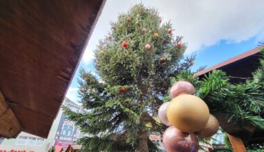 Nordrhein-Westfalen: Erster Weihnachtsmarkt des Jahres startet in Essen-Steele