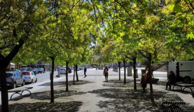 Klimawandel: Berlin pflanzt hunderttausende Bäume – für mehrere Milliarden Euro