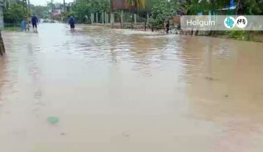 Nach Hurrikan Melissa: Streigende Gefahr von Dengue, Oropouche und Chikungunya in Kuba