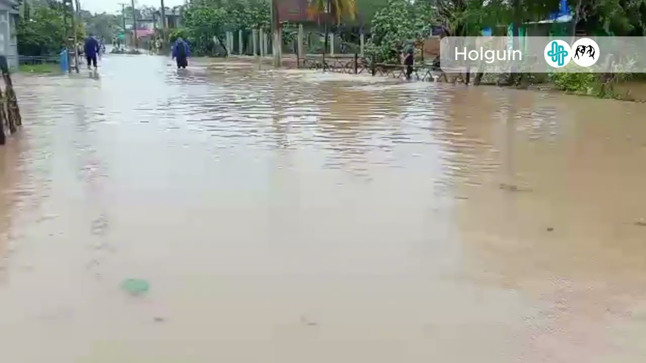 Nach Hurrikan Melissa: Streigende Gefahr von Dengue, Oropouche und Chikungunya in Kuba