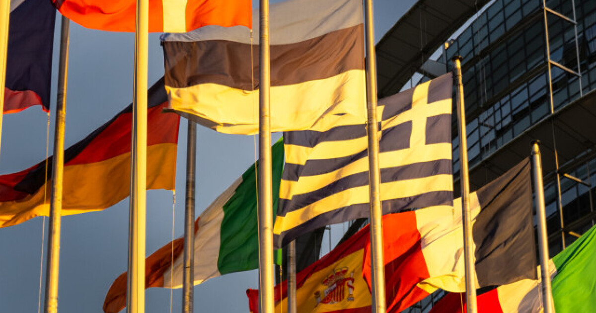 Auch neue Rechtsaußen-Fraktion soll Gelder abgezweigt haben • Table.Briefings