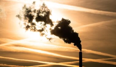 EU-Klimaziel für 2040 - Umweltminister versuchen Einigung