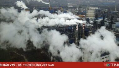 Vietnam.vn - Nền tảng quảng bá Việt Nam