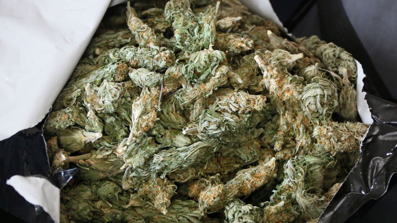 Zollfahnder stellen eine Tonne Marihuana in Spandau sicher