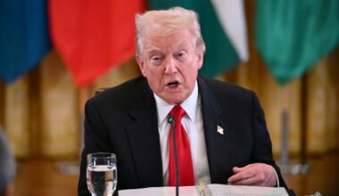 „Das kommt Trumps autoritärem Regierungsstil entgegen“