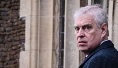 Mehrere US-Demokraten fordern Aussage von Andrew zu Epstein