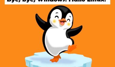 Illustration: N. Merlo