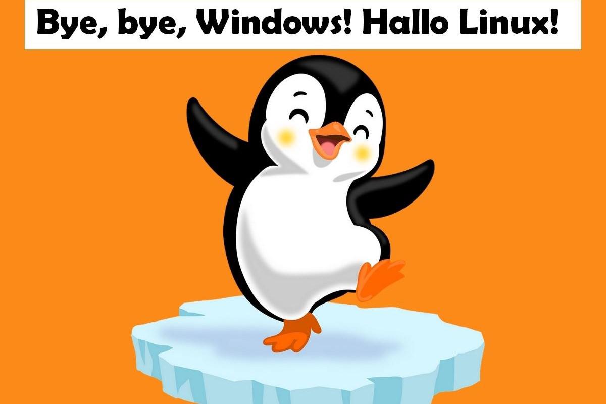 Illustration: N. Merlo