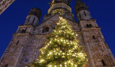 Weihnachtsbaum für den Breitscheidplatz wird in Altglienicke gefällt