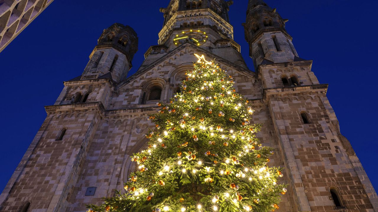 Weihnachtsbaum für den Breitscheidplatz wird in Altglienicke gefällt