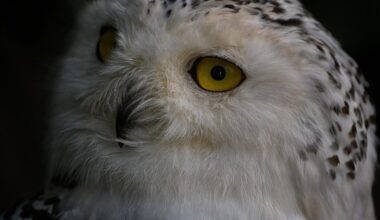 Vogelgrippe-Verdacht in Bielefeld: Die Testergebnisse sind da