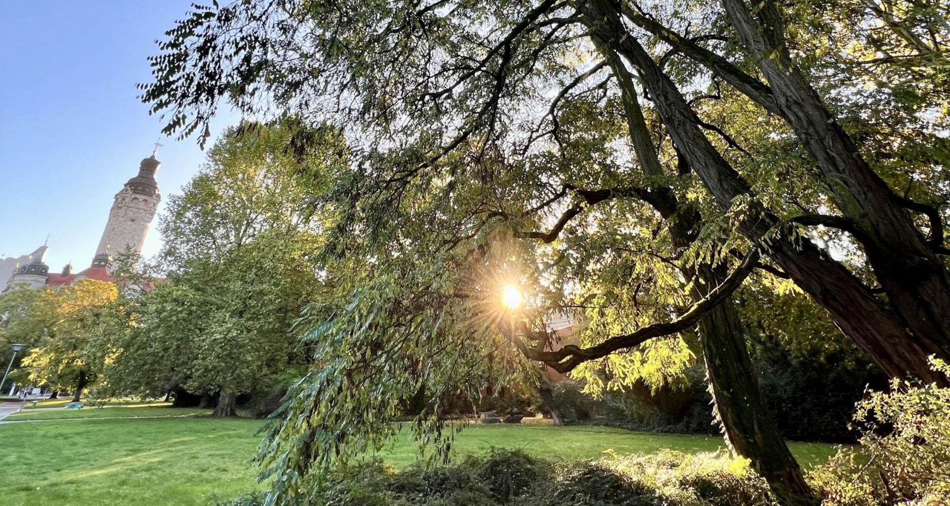 Fremde Pflanzenarten fügen sich schneller als gedacht in Natur ein · Leipziger Zeitung