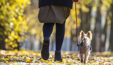 Klima in Stuttgart: 18 Grad – künftig typisches Novemberwetter?