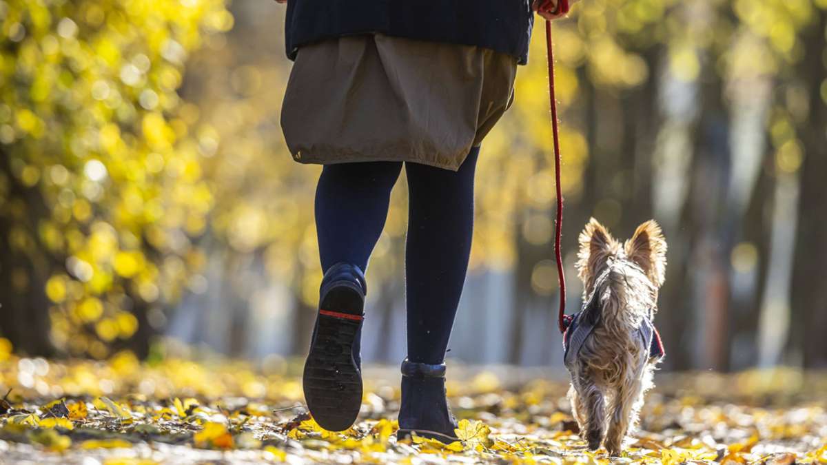 Klima in Stuttgart: 18 Grad – künftig typisches Novemberwetter?