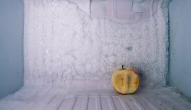 Grundsicherung: So knallhart soll die neue Grundsicherung werden