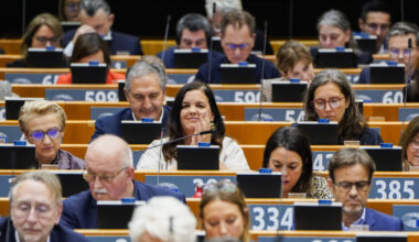 Parlament beschließt Omnibus Nachhaltigkeit und Klimaziel 2040 • Table.Briefings