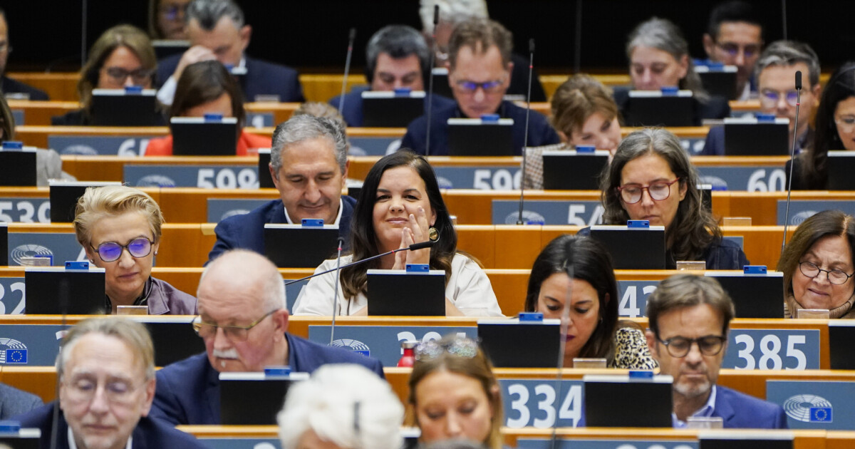 Parlament beschließt Omnibus Nachhaltigkeit und Klimaziel 2040 • Table.Briefings