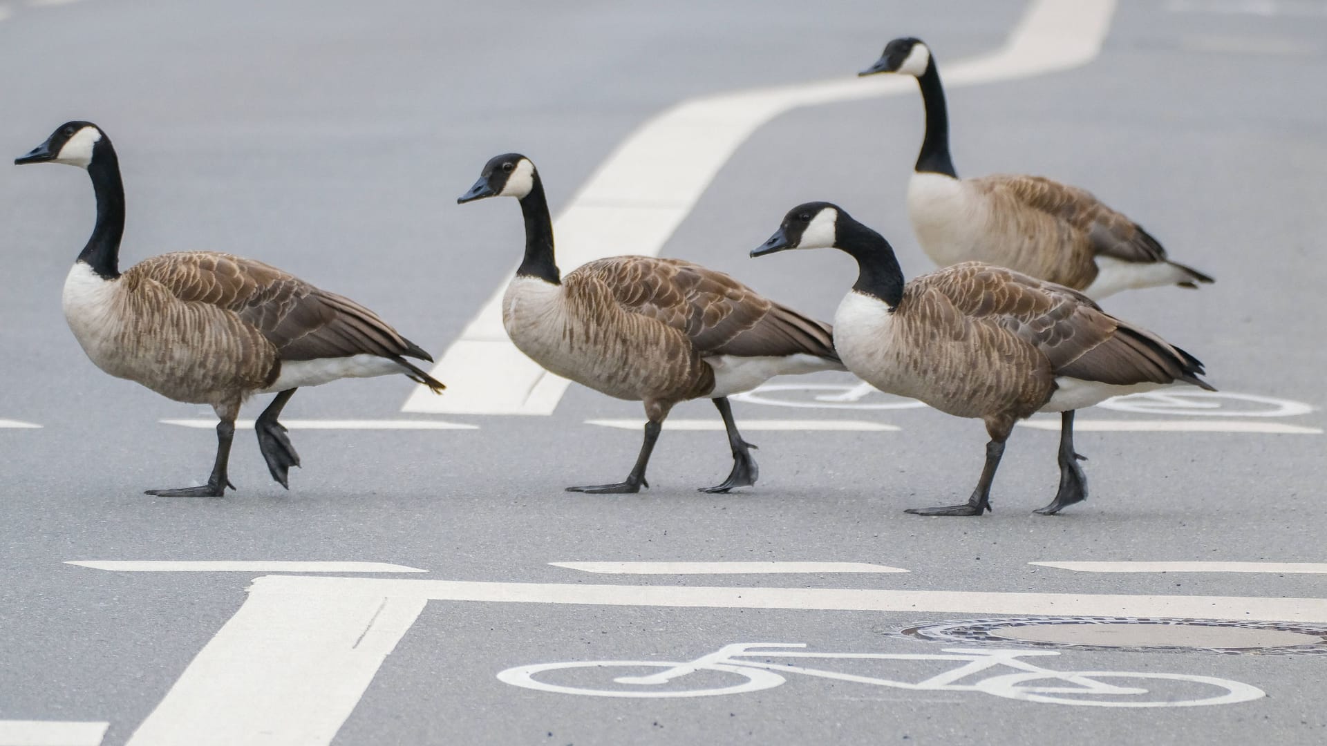 imago images 126379377