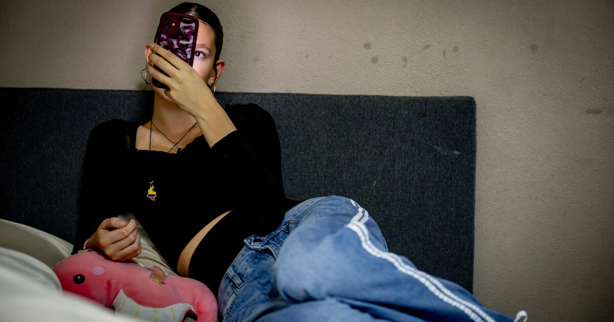 Deutschland stimmt dänischem Vorschlag zu • Table.Briefings